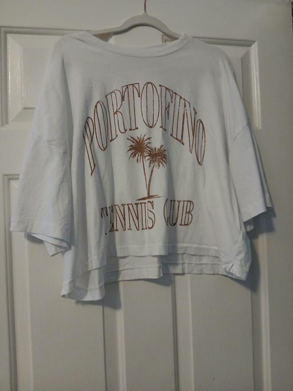 American Eagle Outfitters White Cropped Tee with Brown Graphic